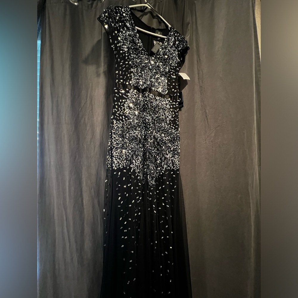 Adrianna Papell Evening Gown